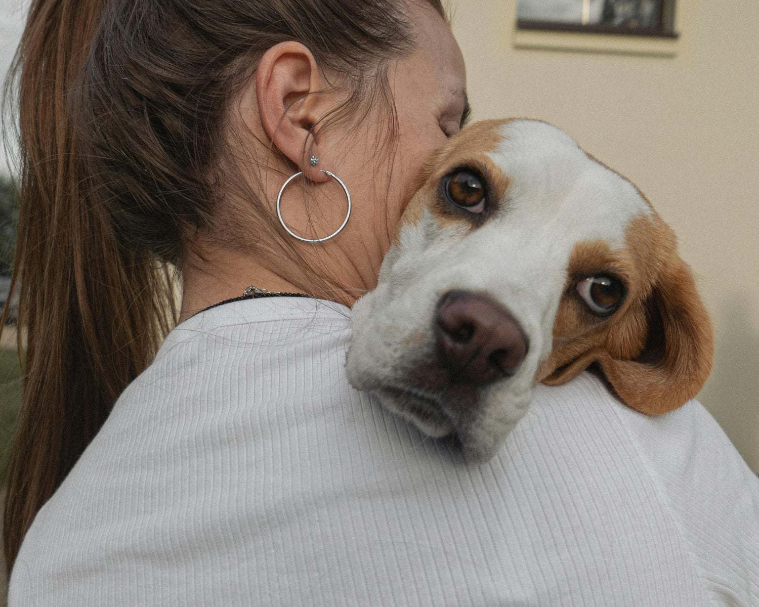 Adventures With Your Pet